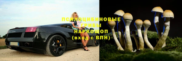 прущие крисы Сатка