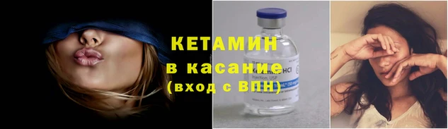 сатива Каменногорск