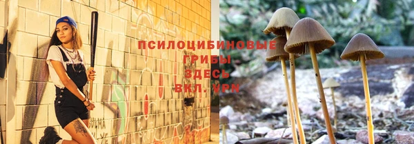 кокс Бородино