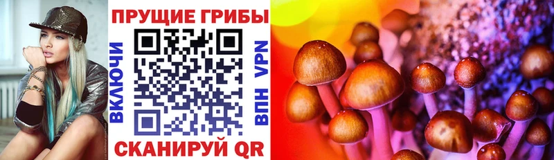 Псилоцибиновые грибы мицелий  цены наркотик  Северобайкальск 