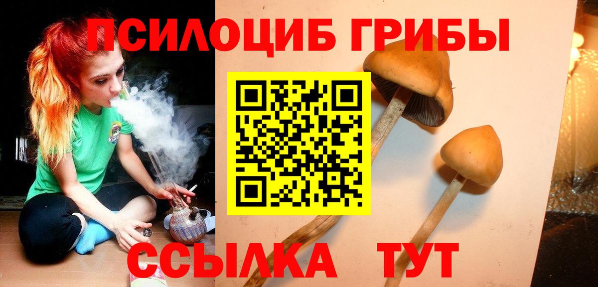 как найти закладки  Галлюциногенные грибы Magic Shrooms  Вход с VPN  Северобайкальск 